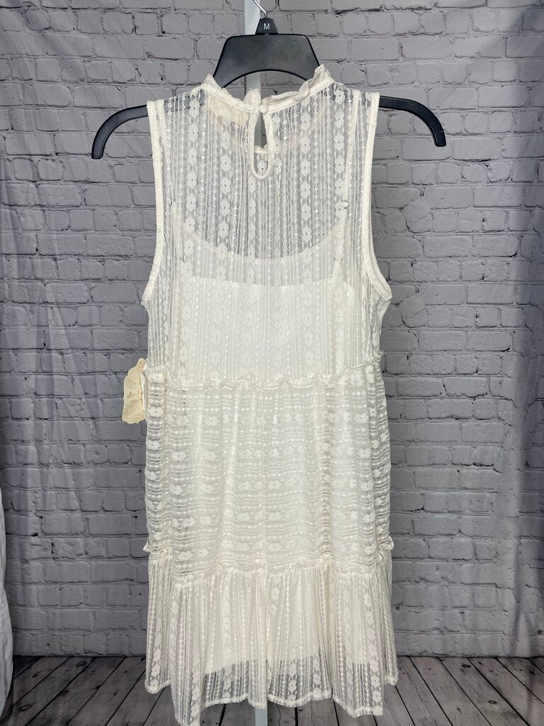 NWT Women's Altar'd State Dress